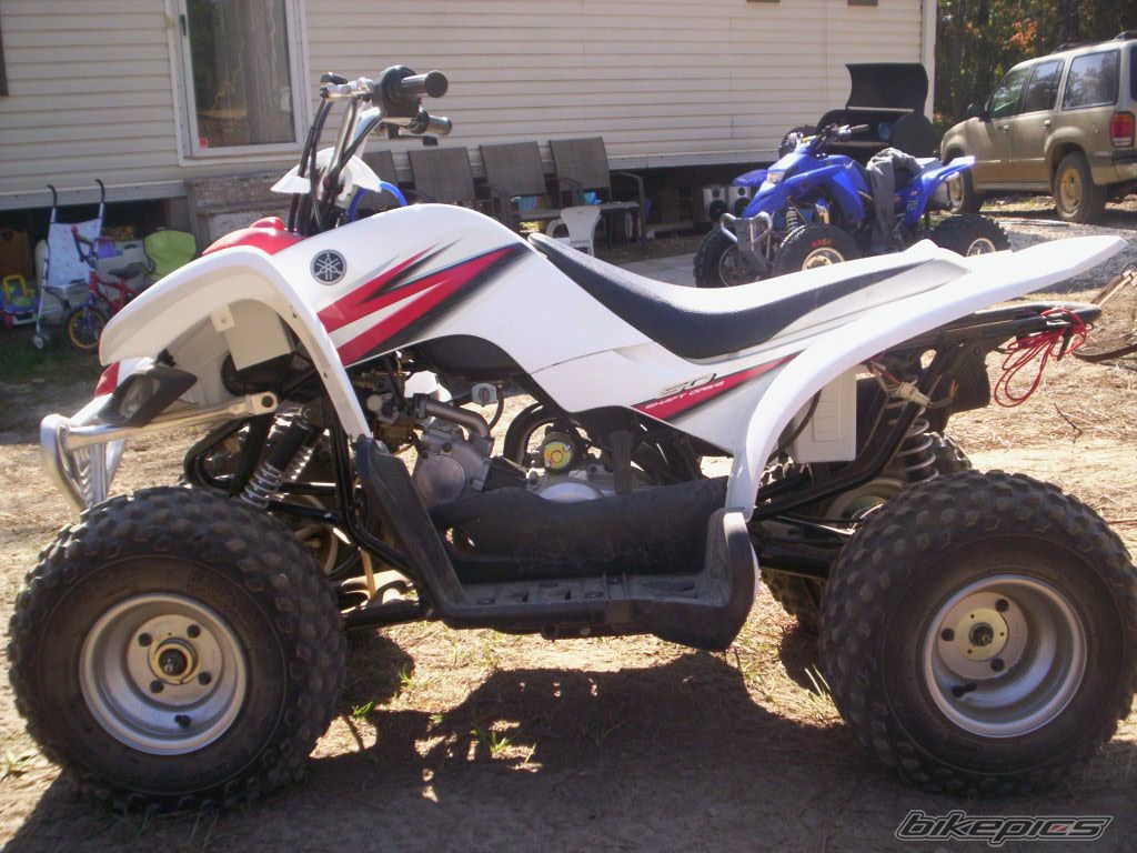 Photo 1078085