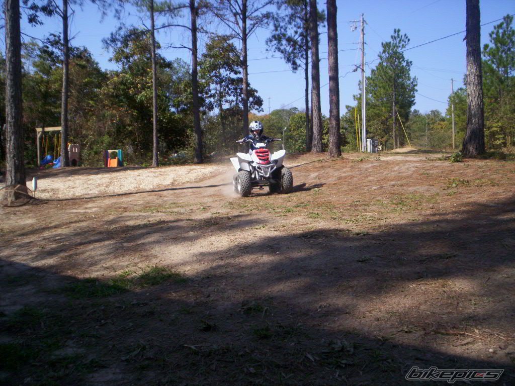Photo 1078088