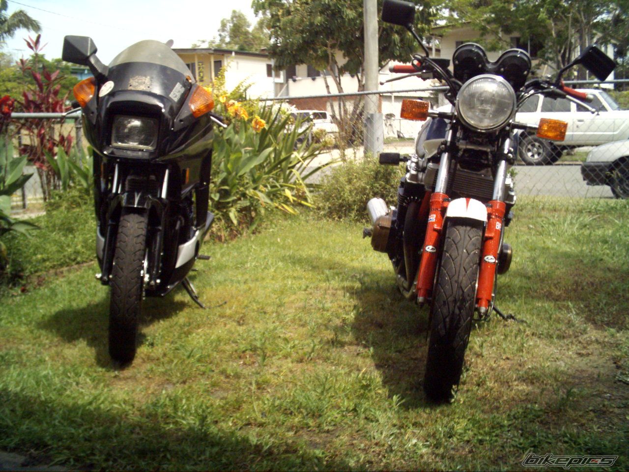 Photo 1078125
