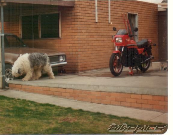 Photo 1078128
