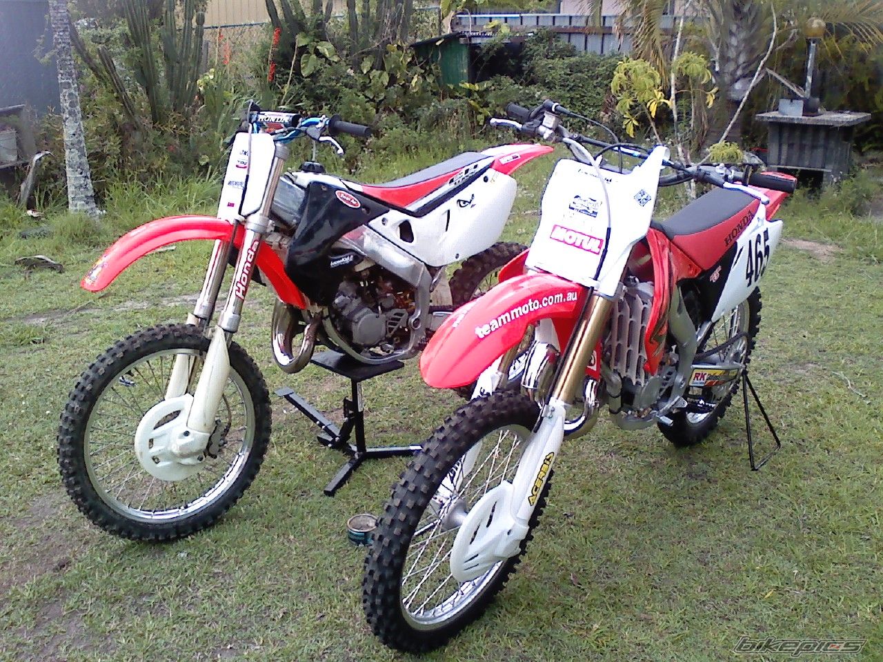 Photo 1078164