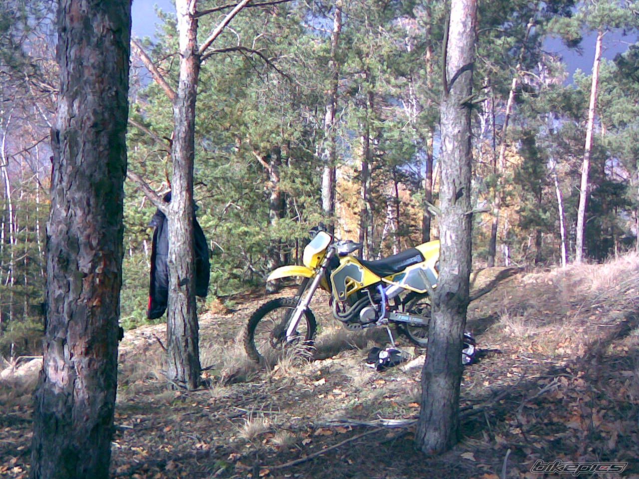 Photo 1078201