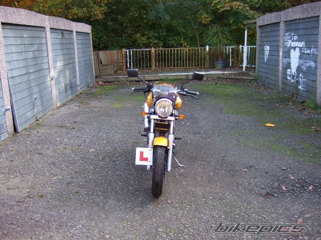 Photo 1078299