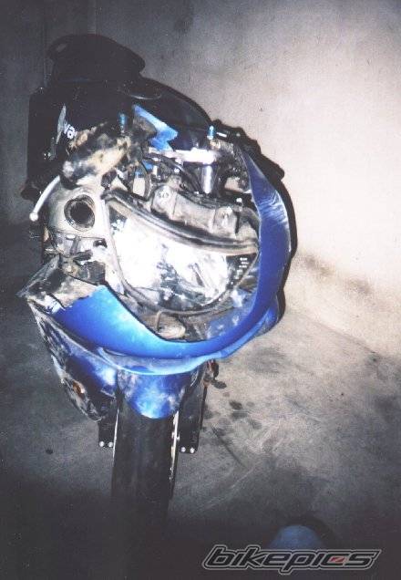 Photo 10783