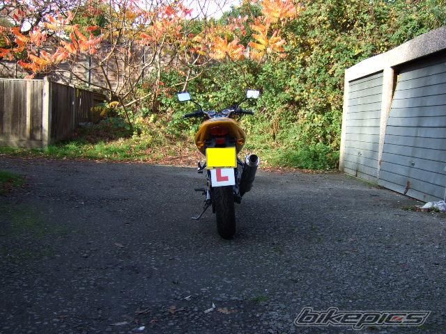 Photo 1078300