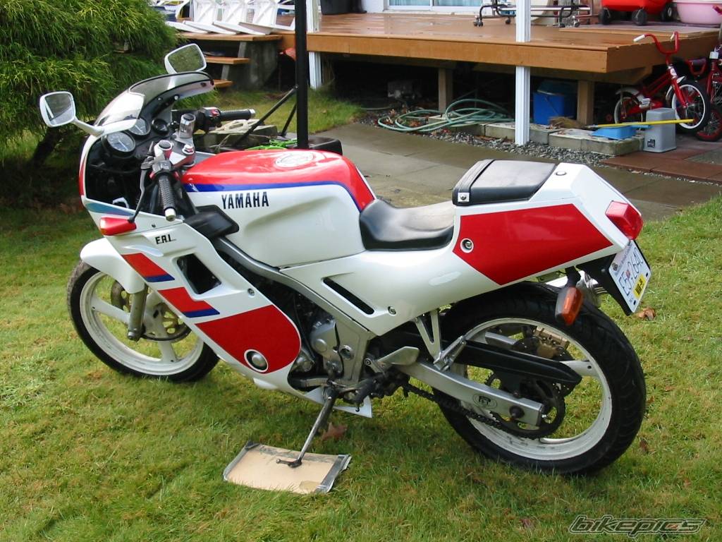 Photo 107832