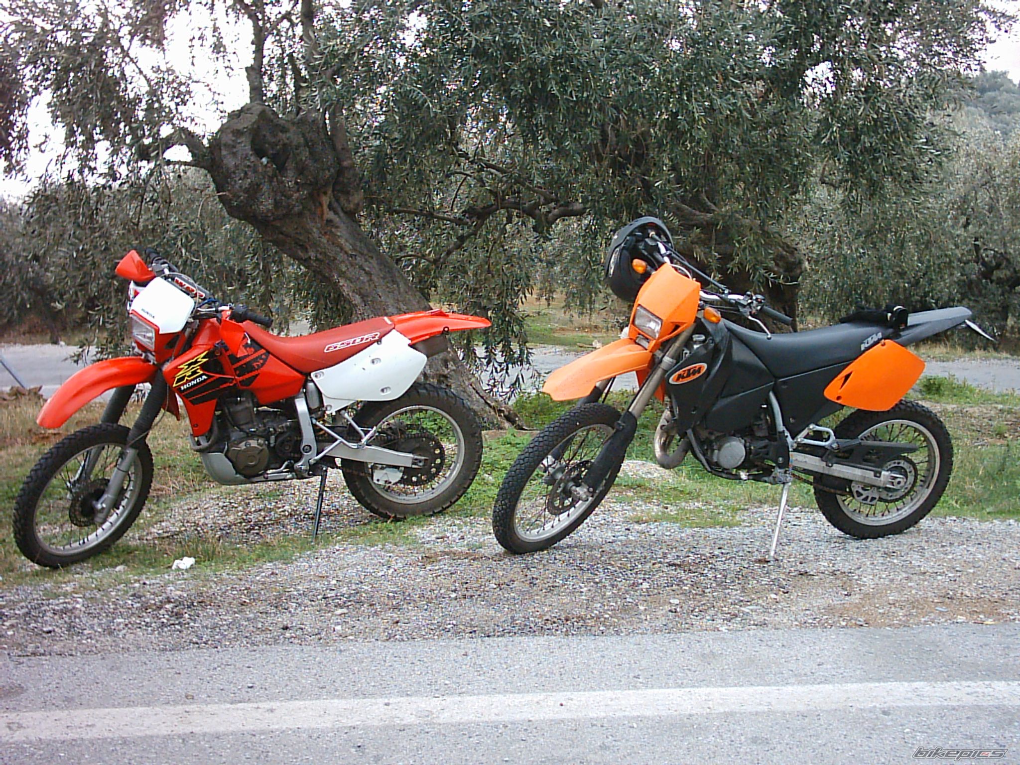 Bike Photo 1078371