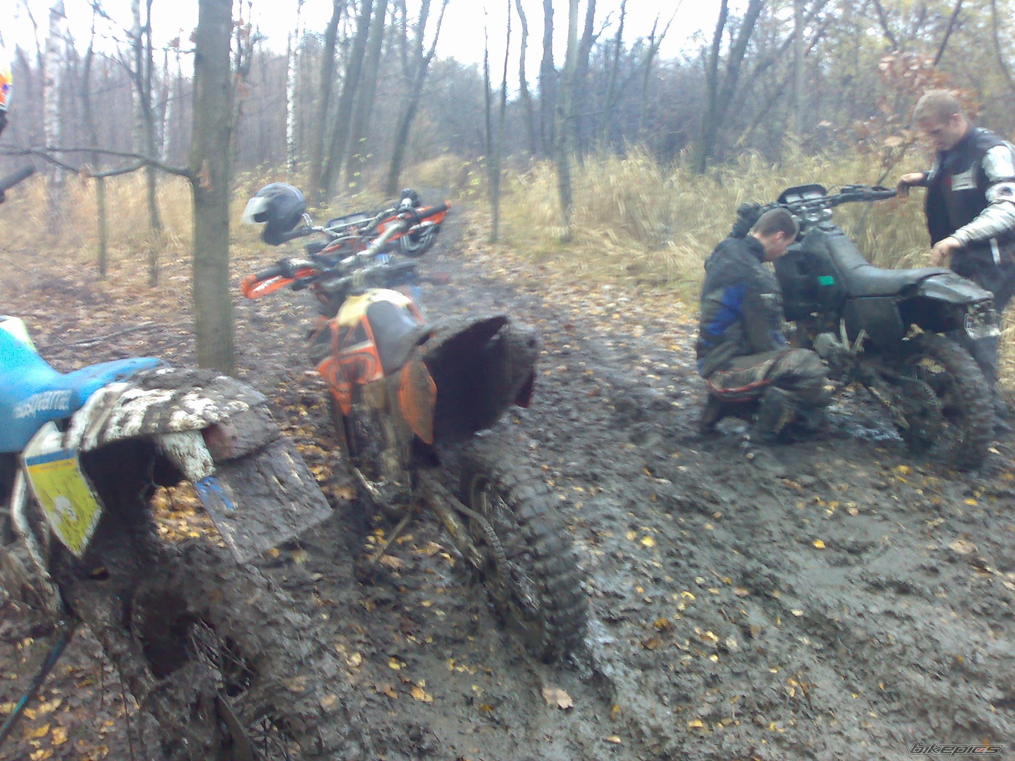 Photo 1078439