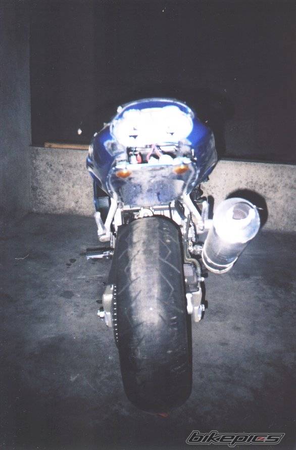 Photo 10785