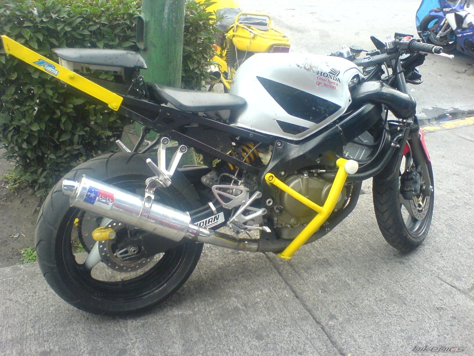 Photo 1078594
