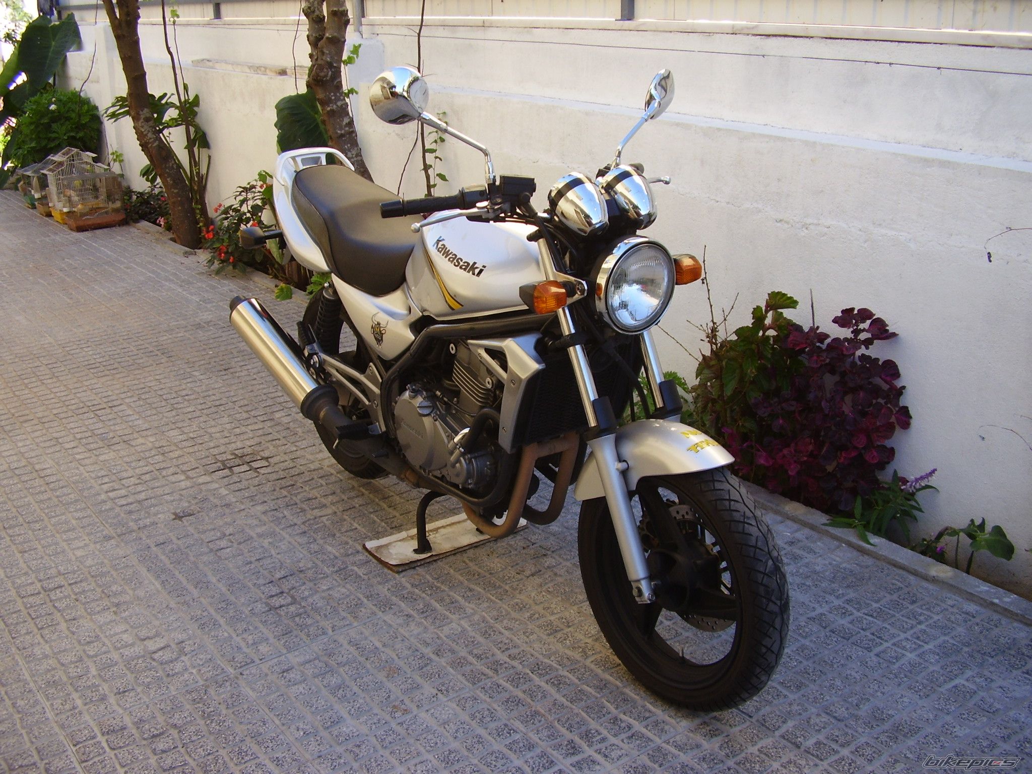 Photo 1078774