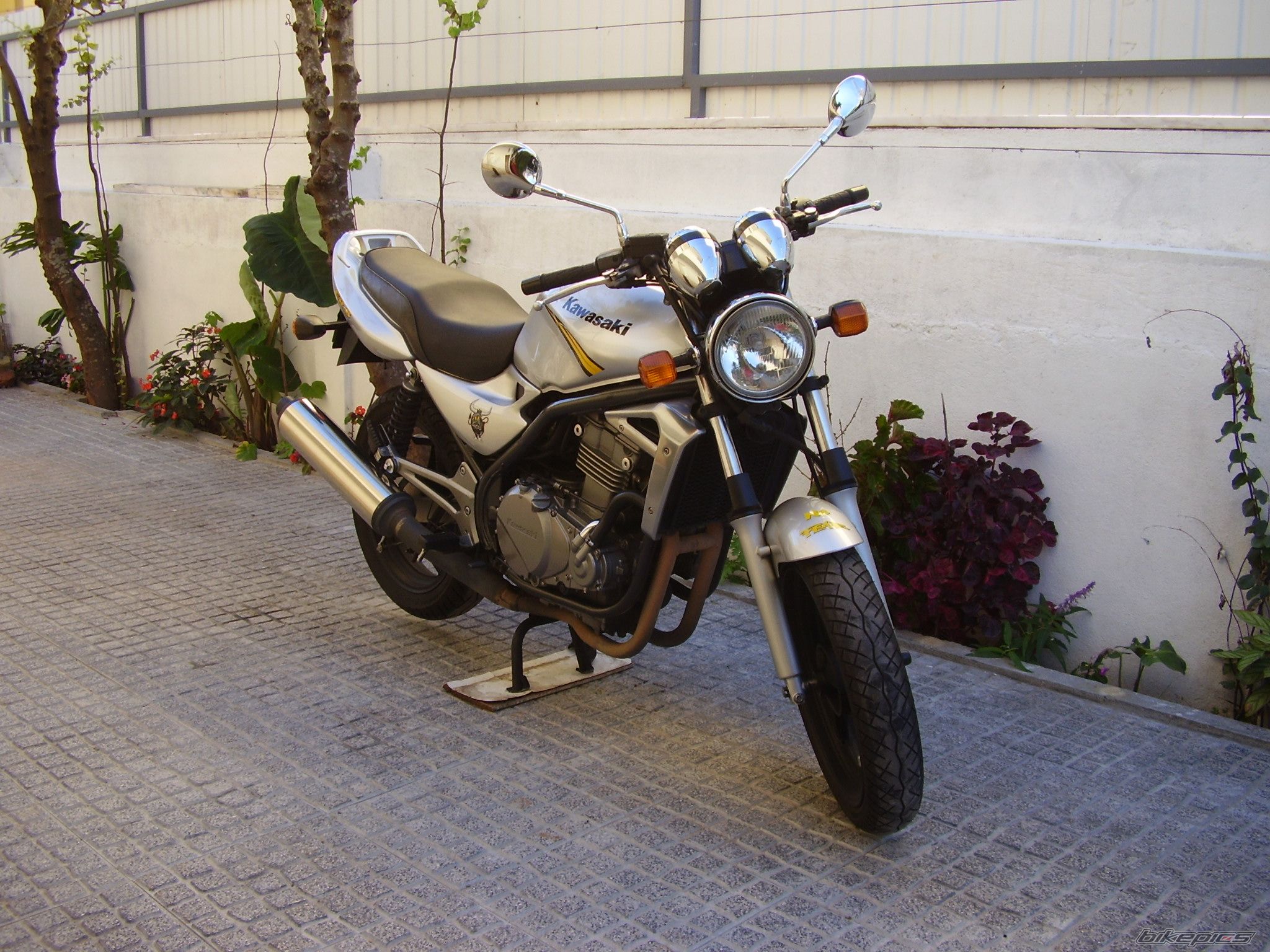 Photo 1078781