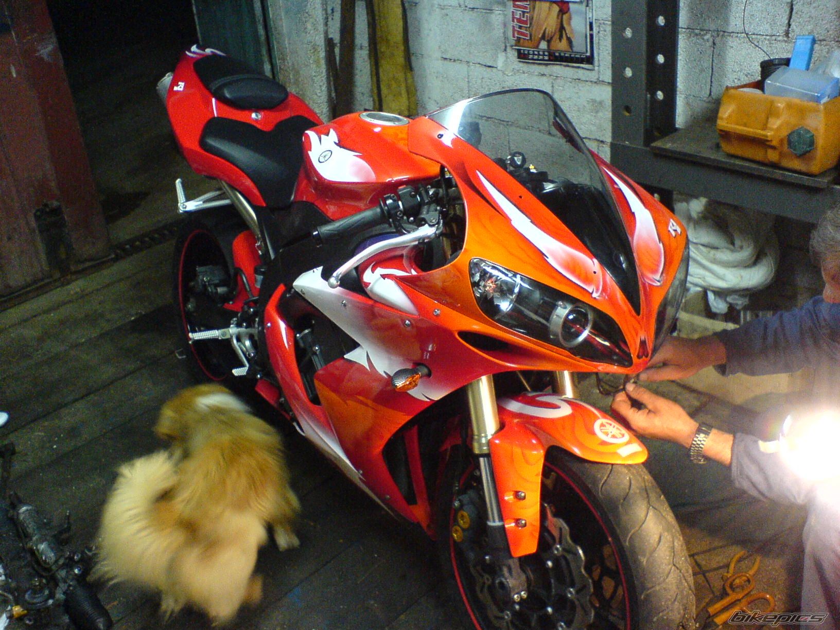 Photo 1078789