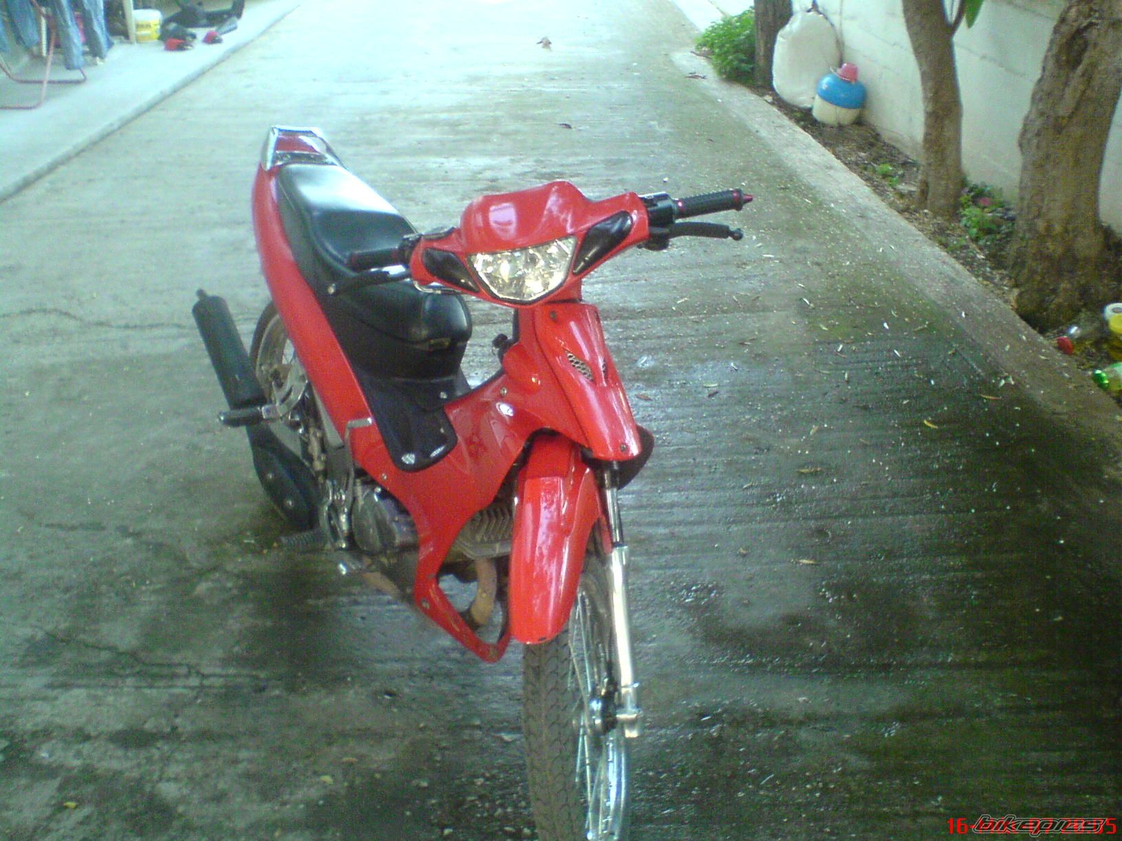 Photo 1078794