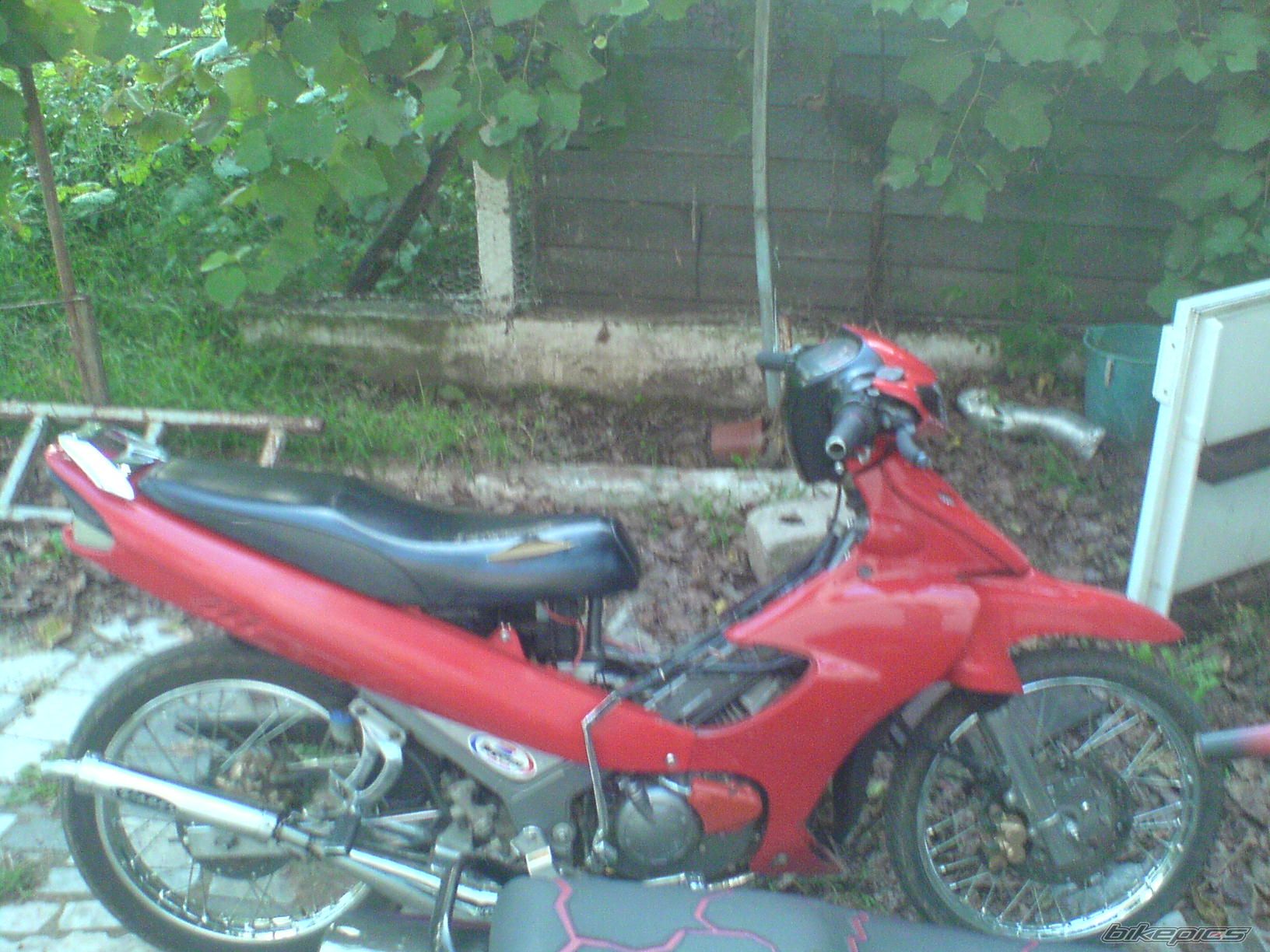 Photo 1078799