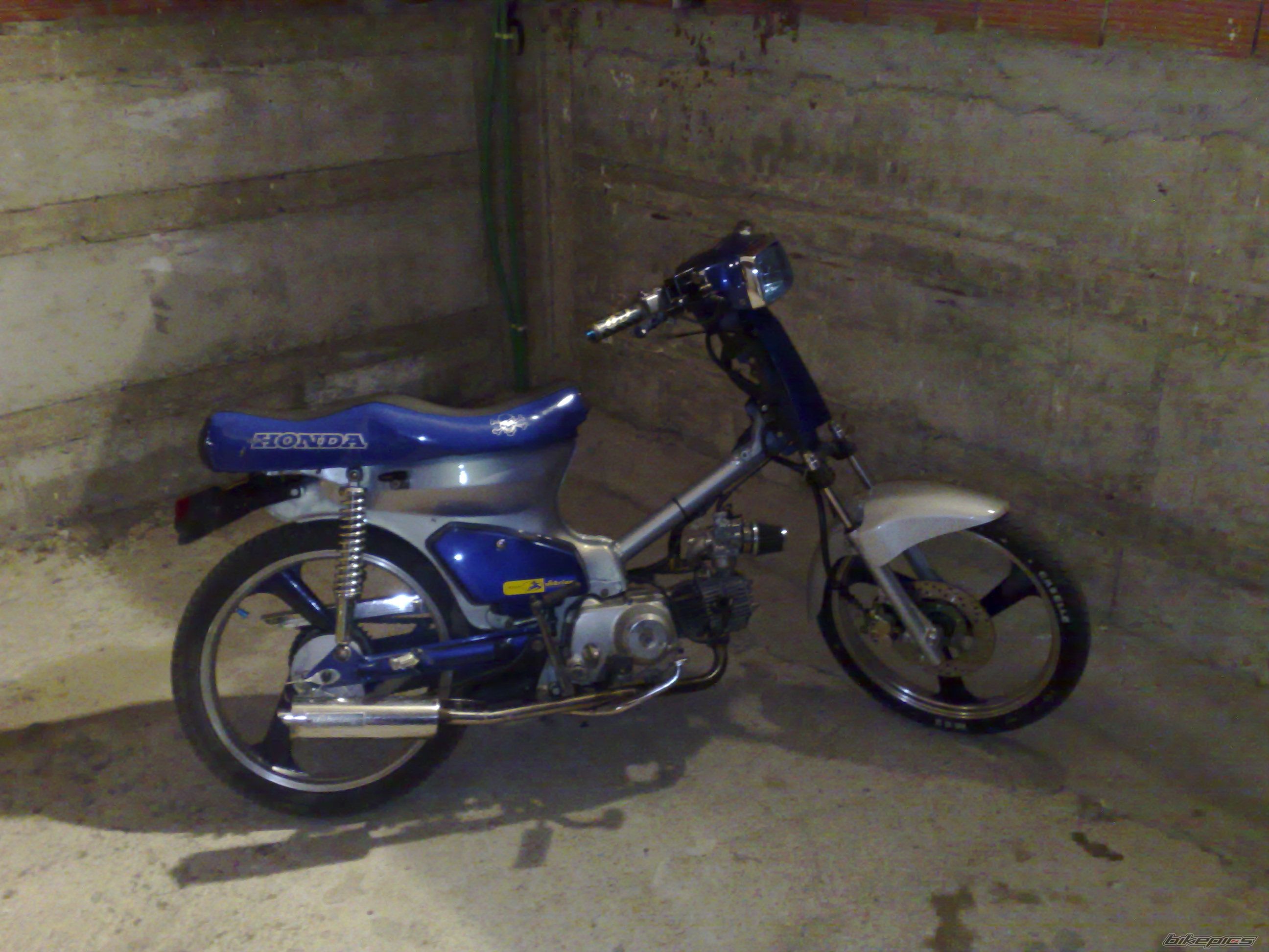 Photo 1078835
