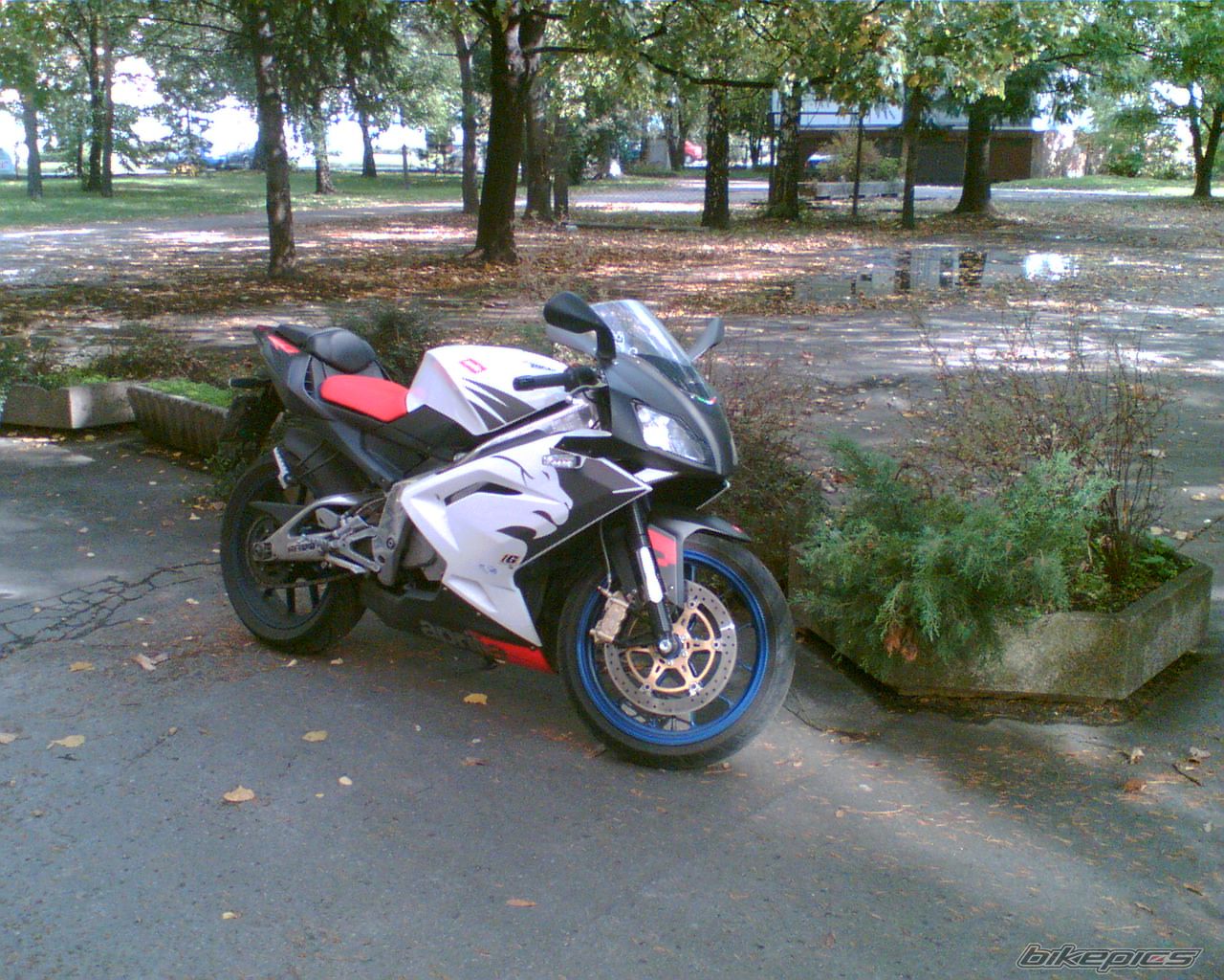 Photo 1078870