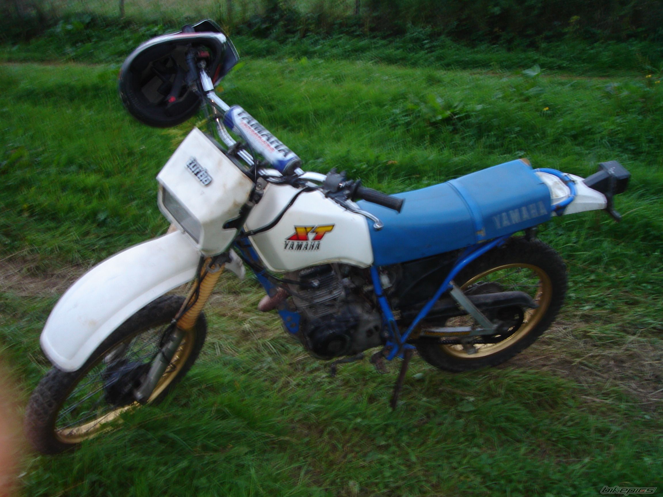 Photo 1078899