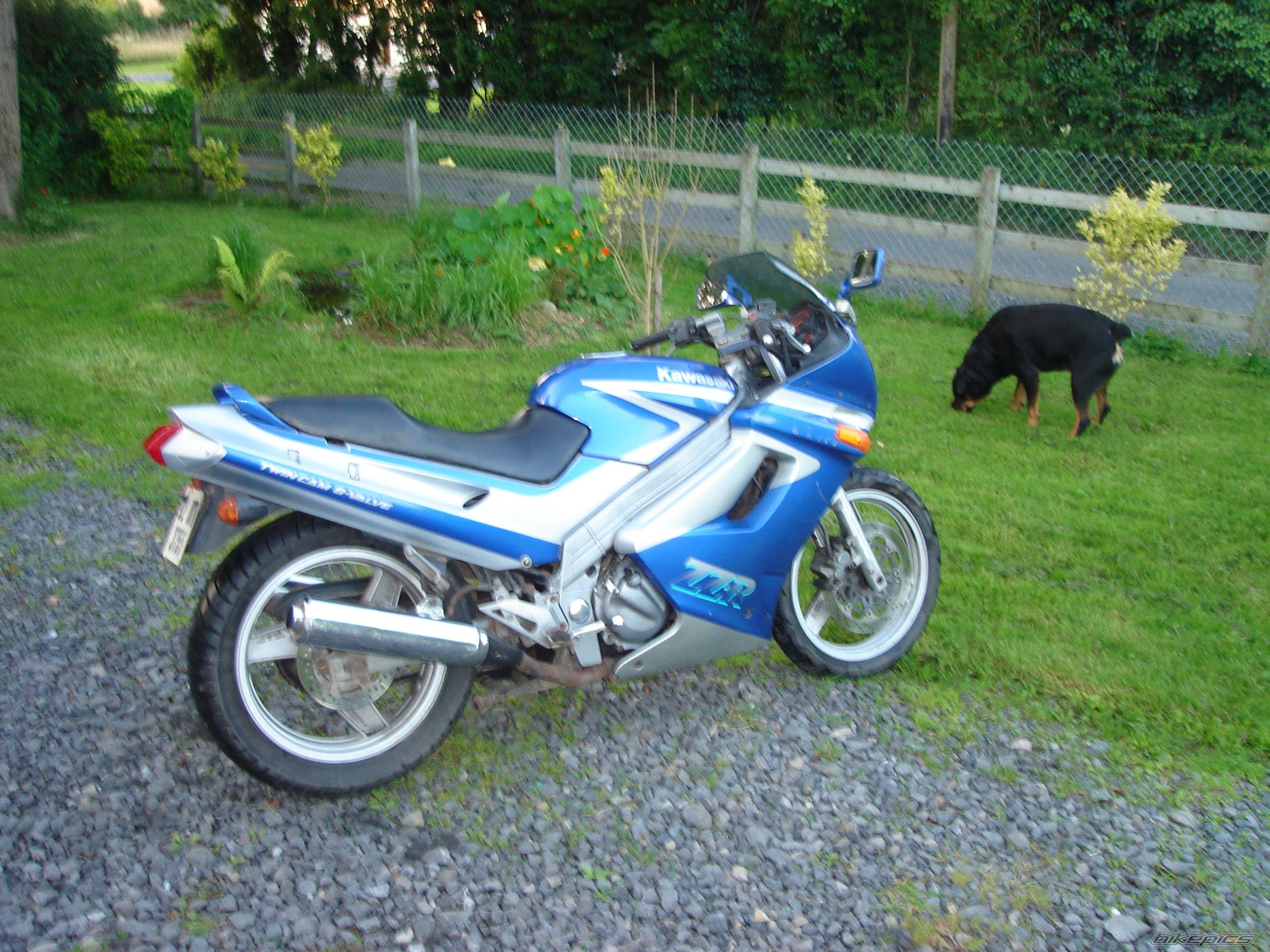 Photo 1078909