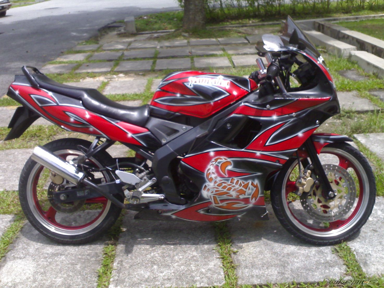 Photo 1079066