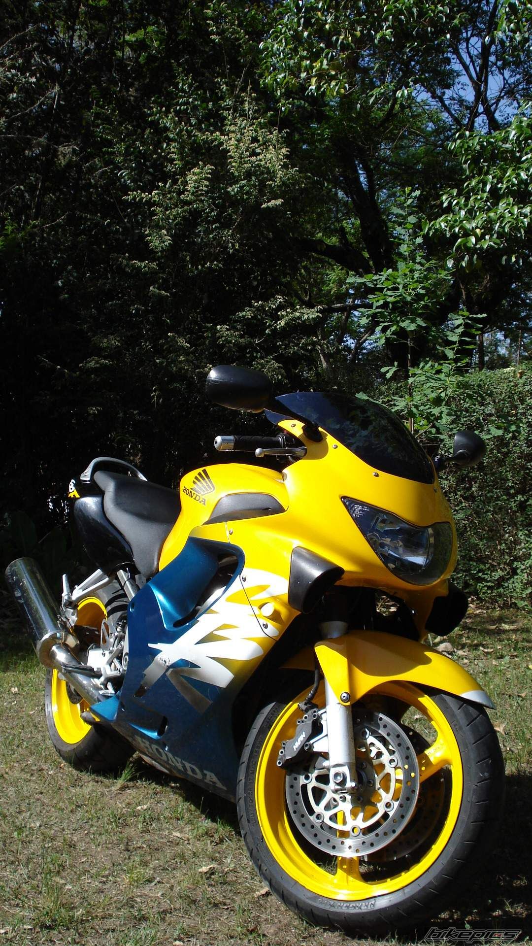 Photo 1079074