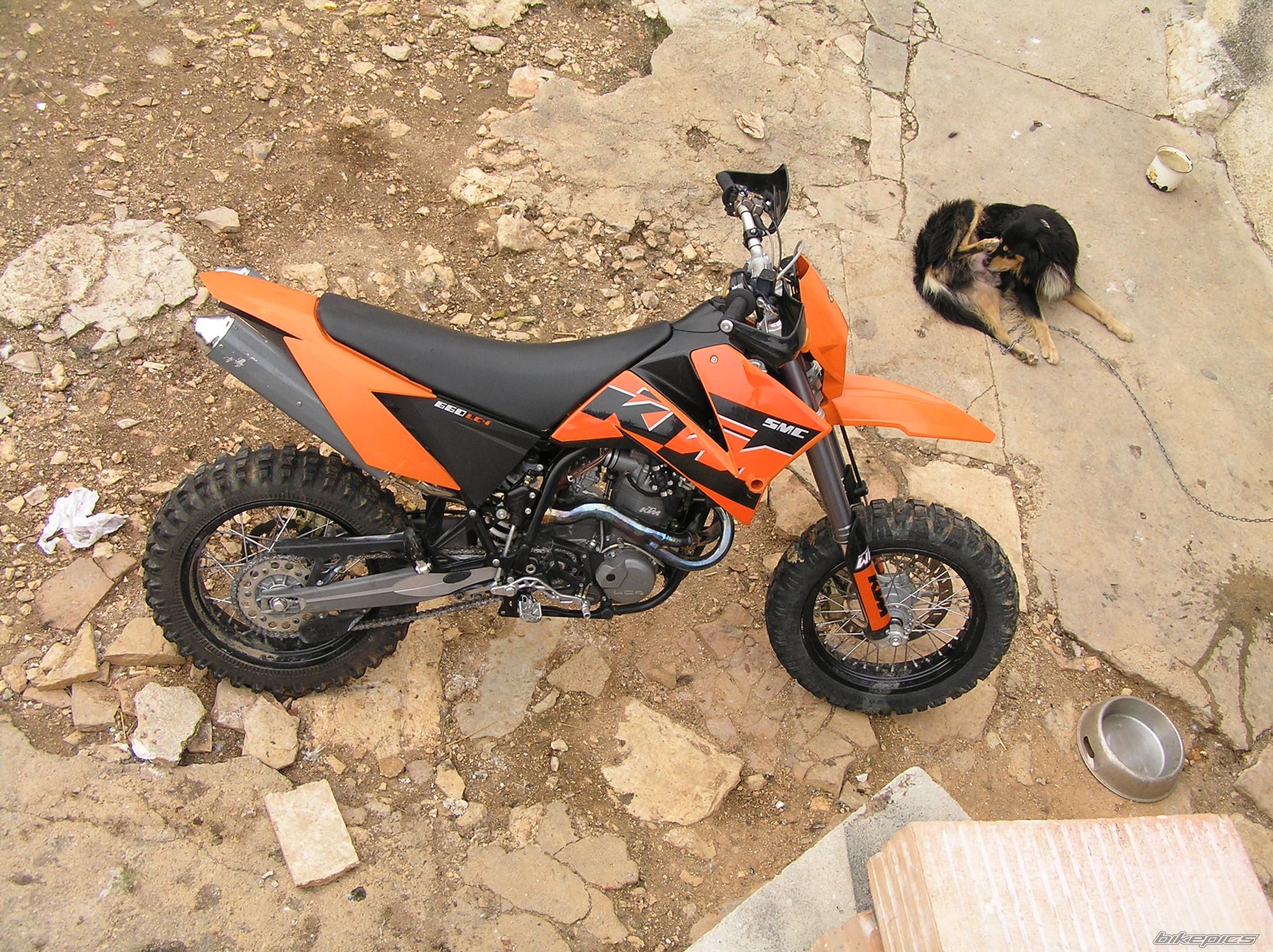 Photo 1079230