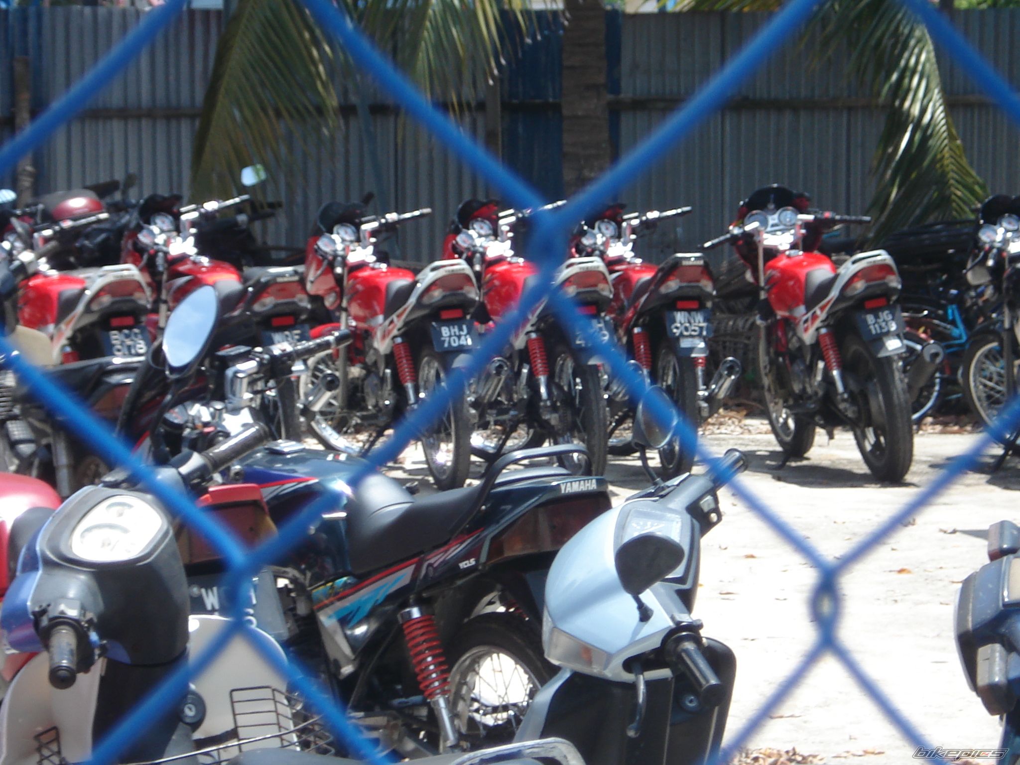Bike Photo 1079294
