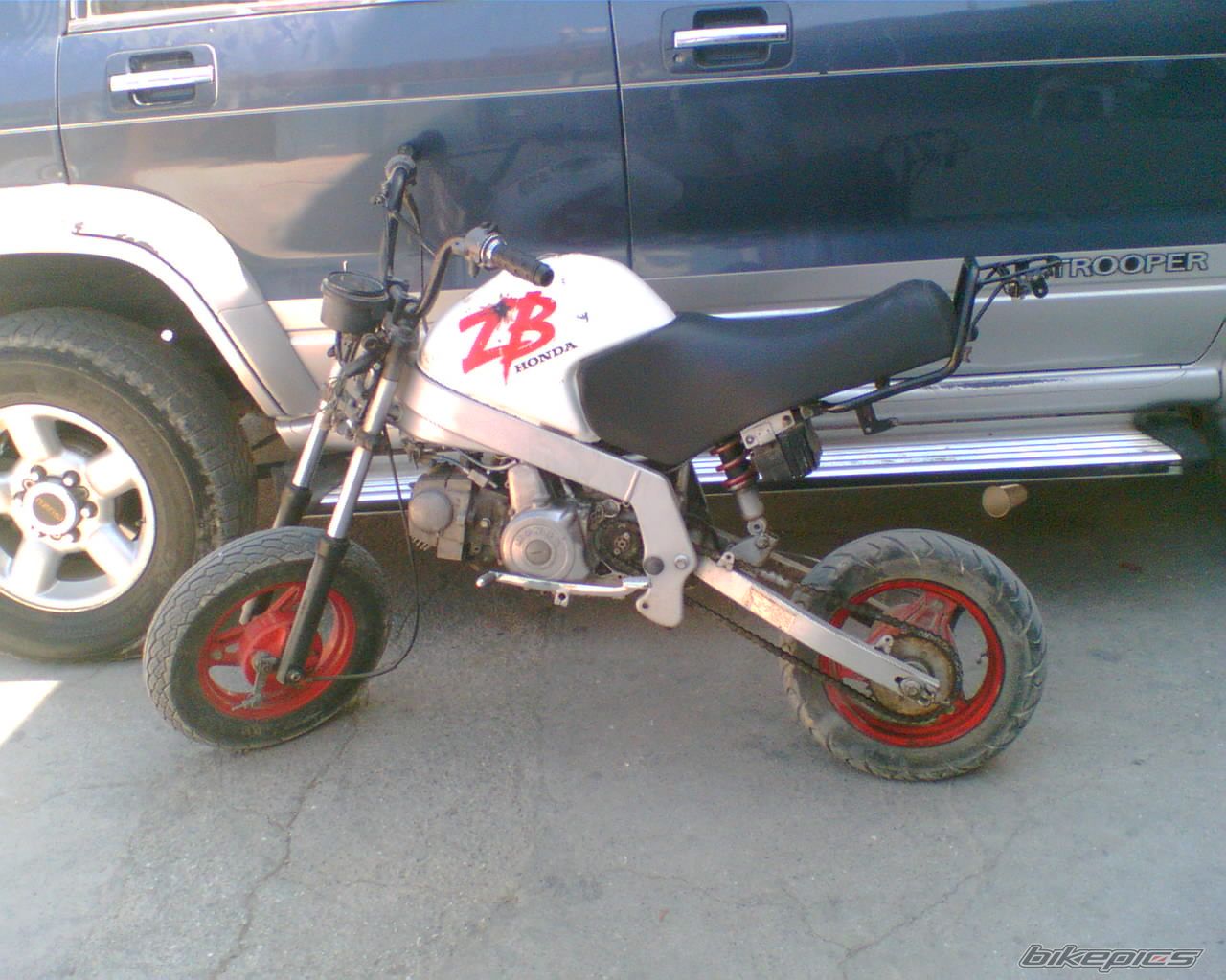 Photo 1079348
