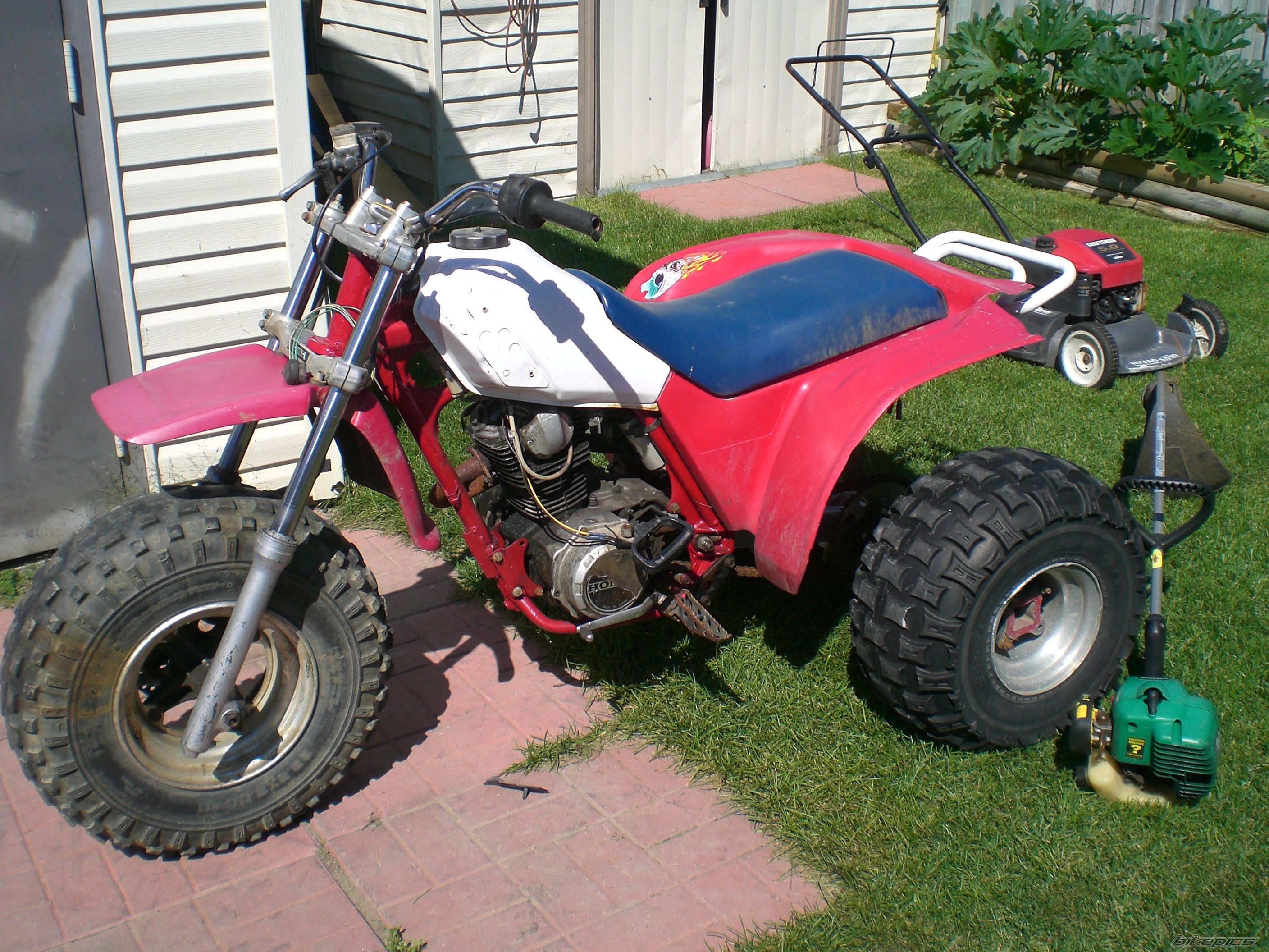 Photo 1079370