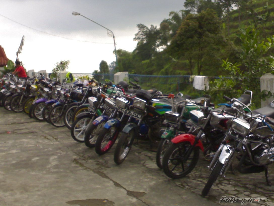 Photo 1079457
