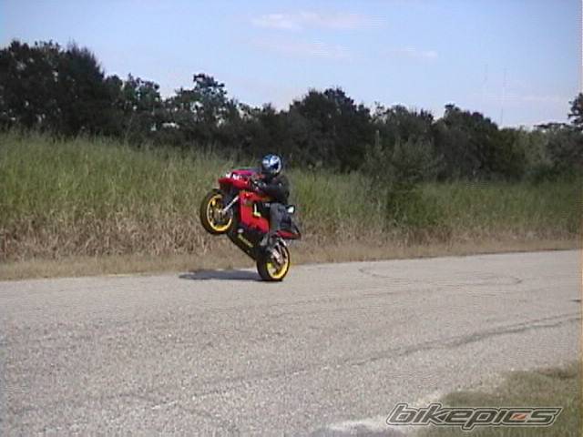 Photo 10795