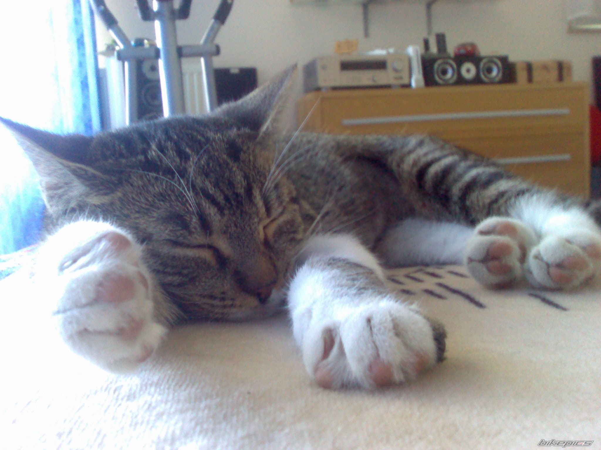 Photo 1079502