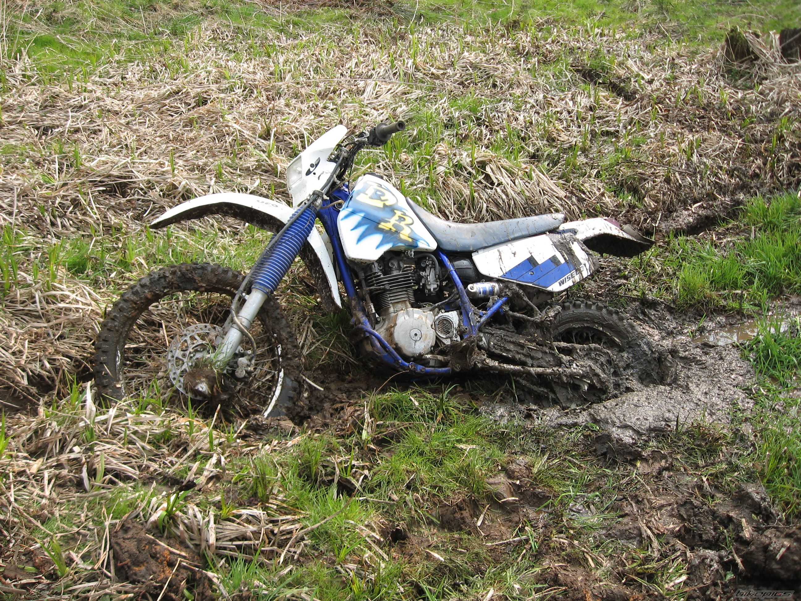 Bike Photo 1079585