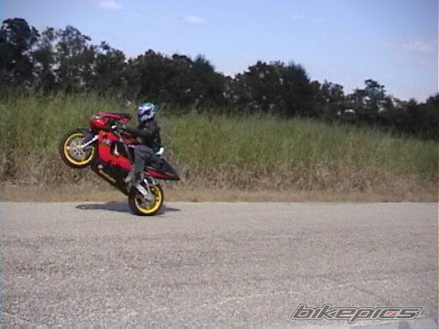 Photo 10796