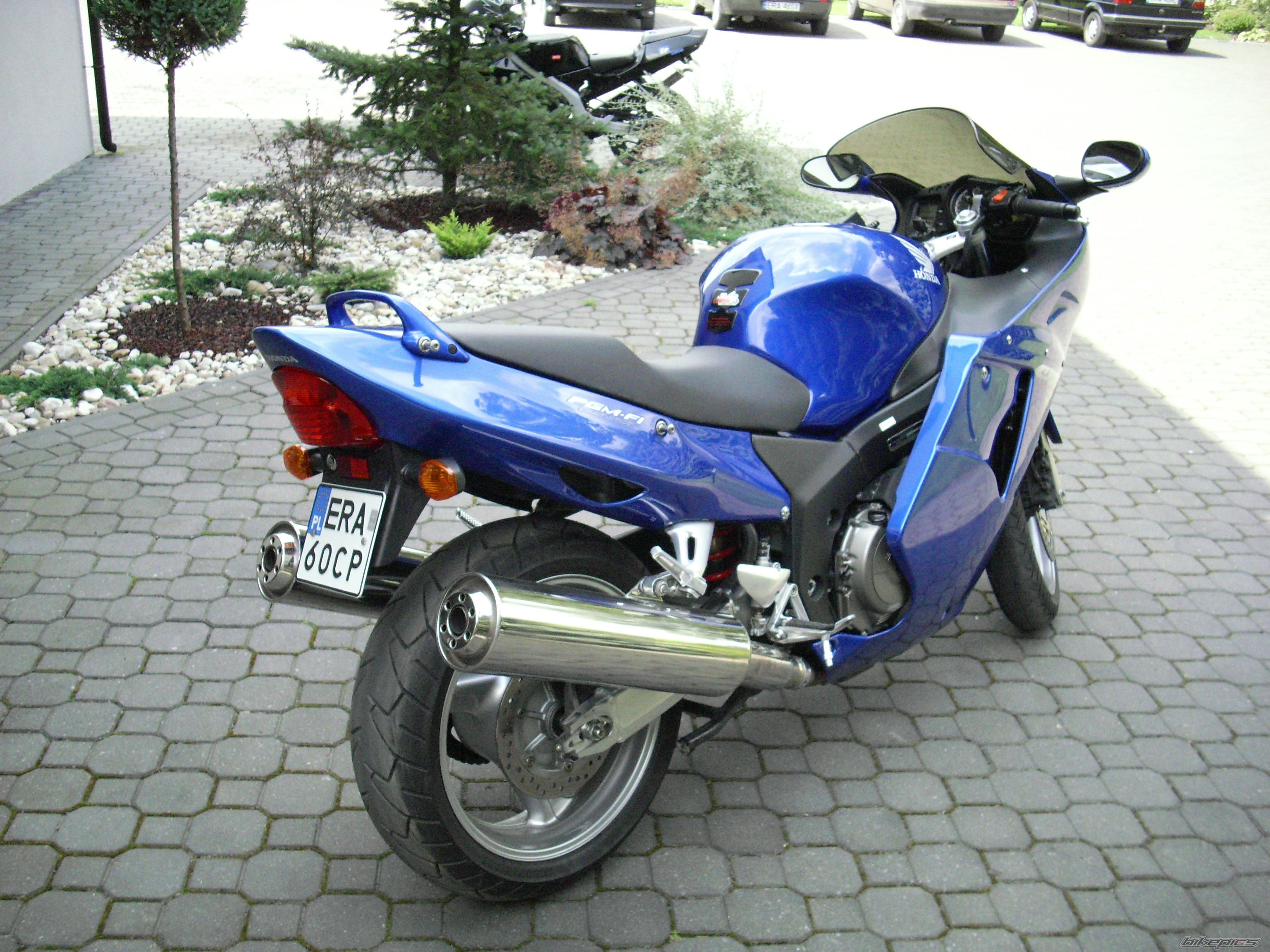 Photo 1079726