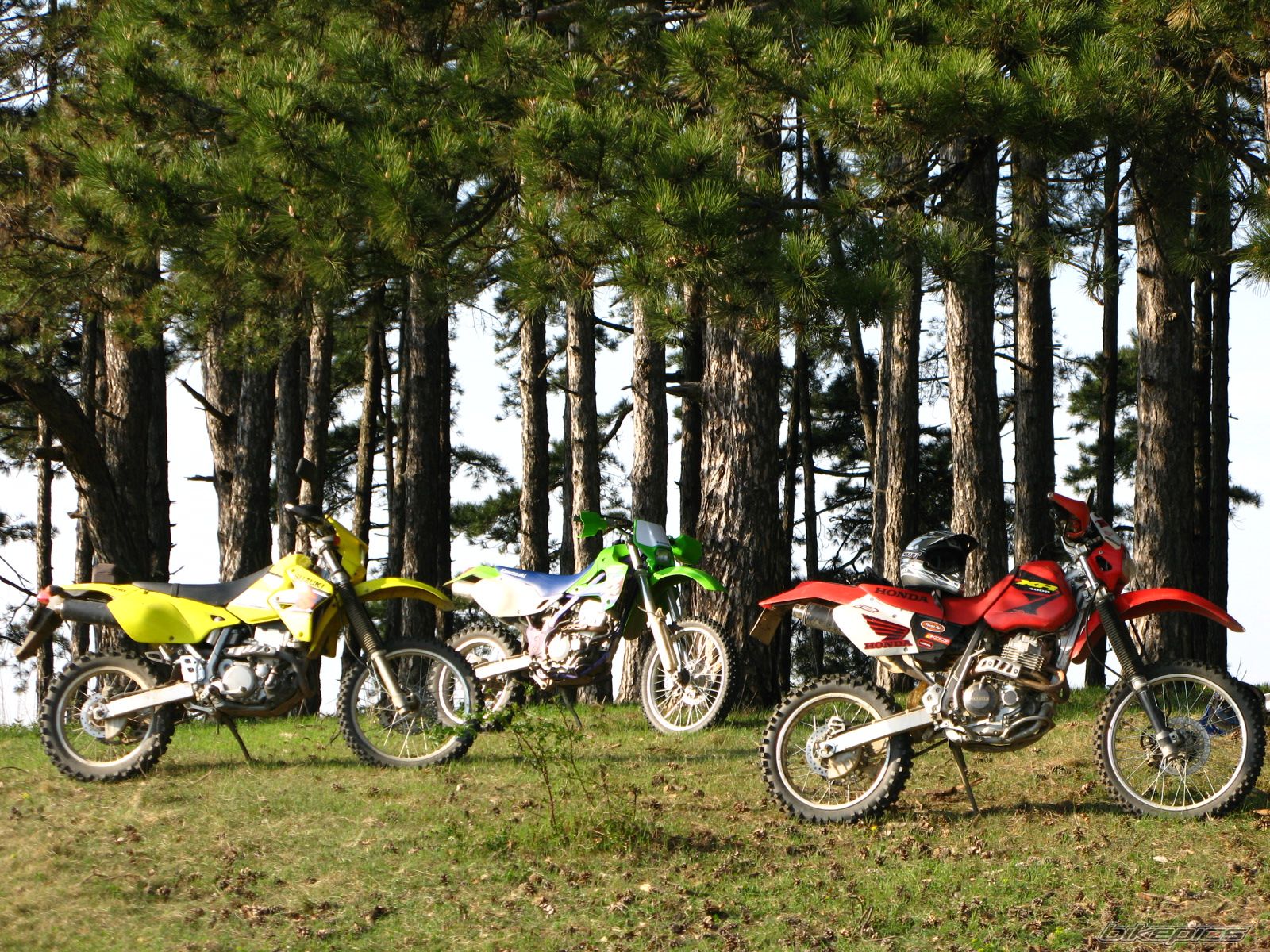 Bike Photo 1079728