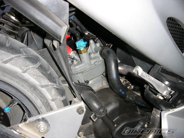 Photo 1080209