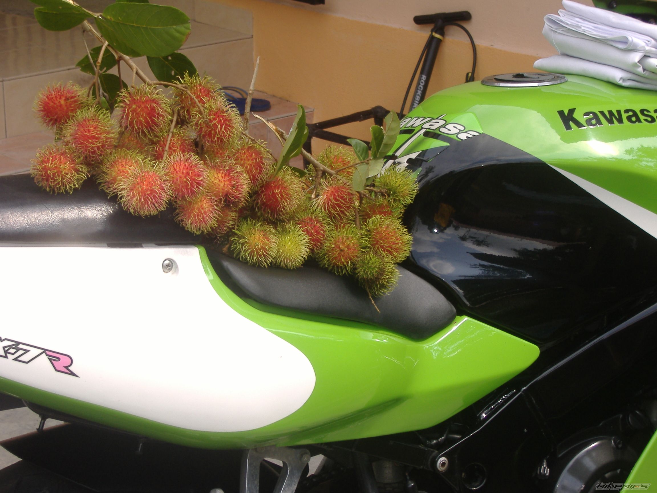 Photo 1080241