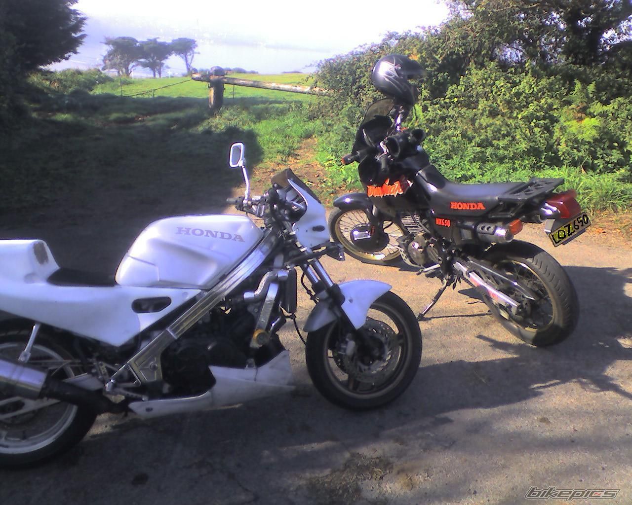 Photo 1080354