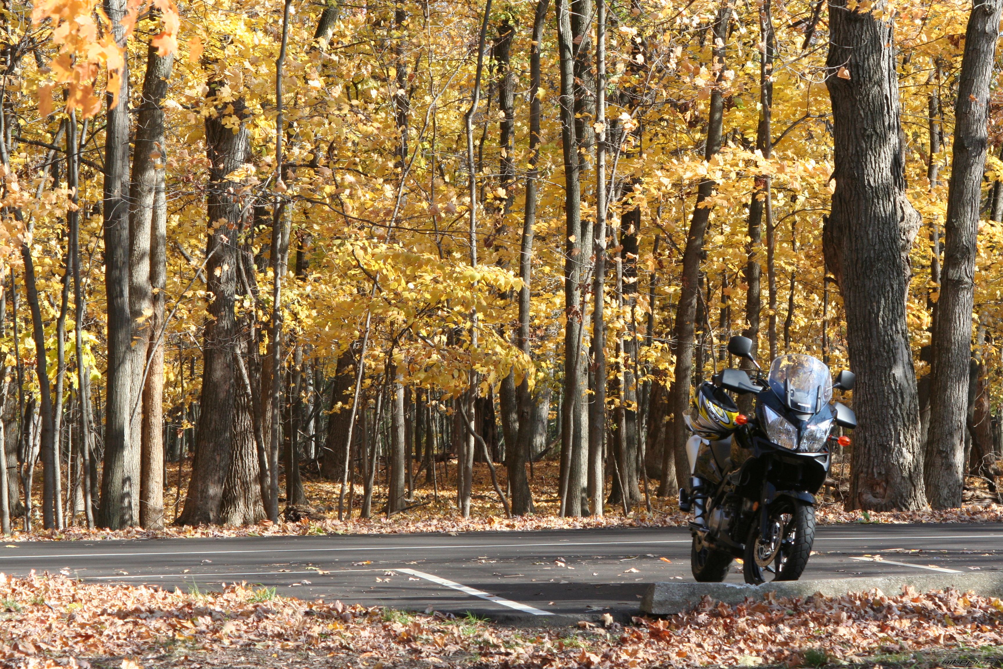 Bike Photo 1080545
