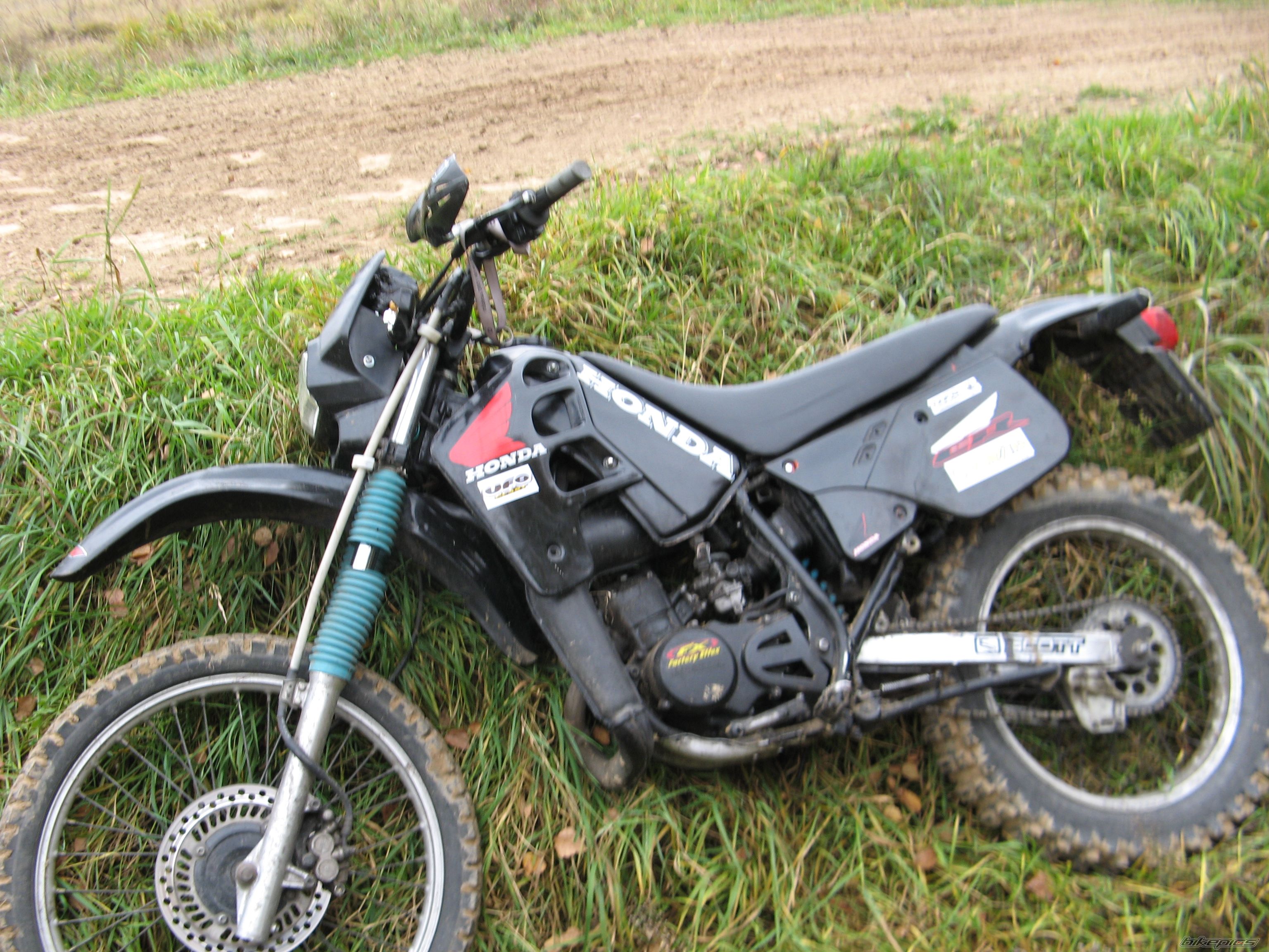 Photo 1080567