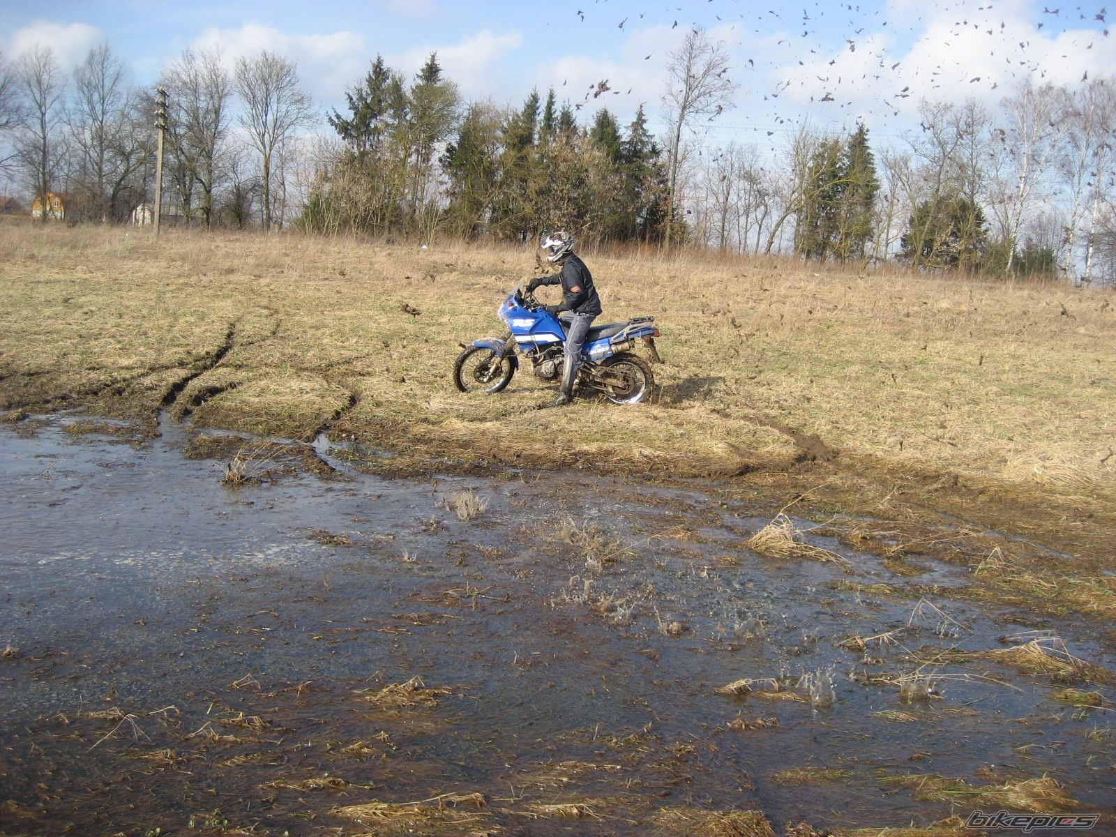 Photo 1080647