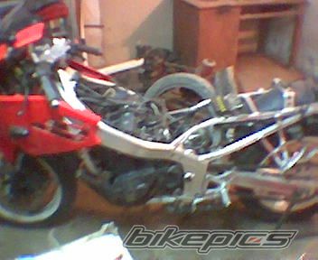 Photo 1080748