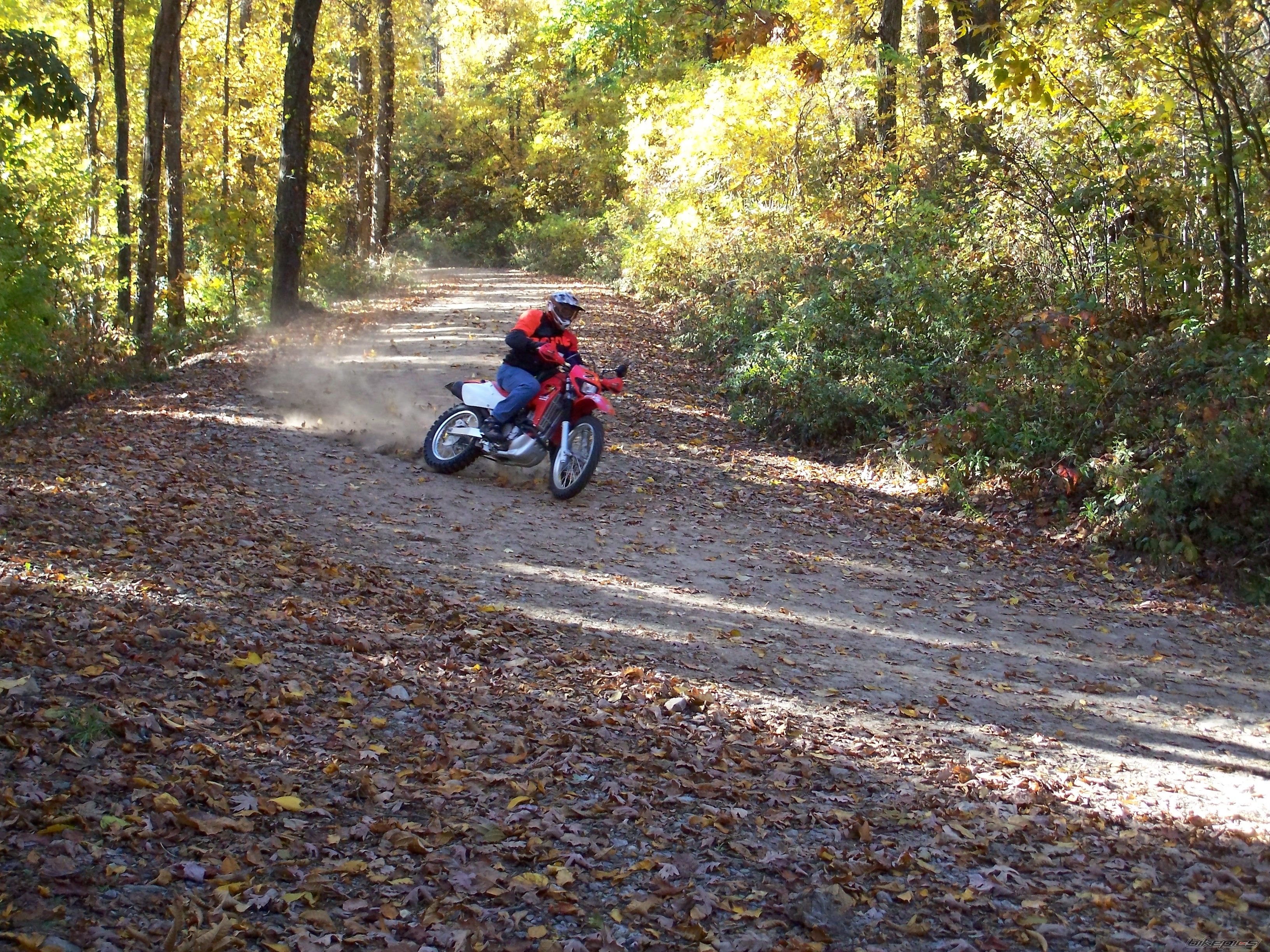 Bike Photo 1080824