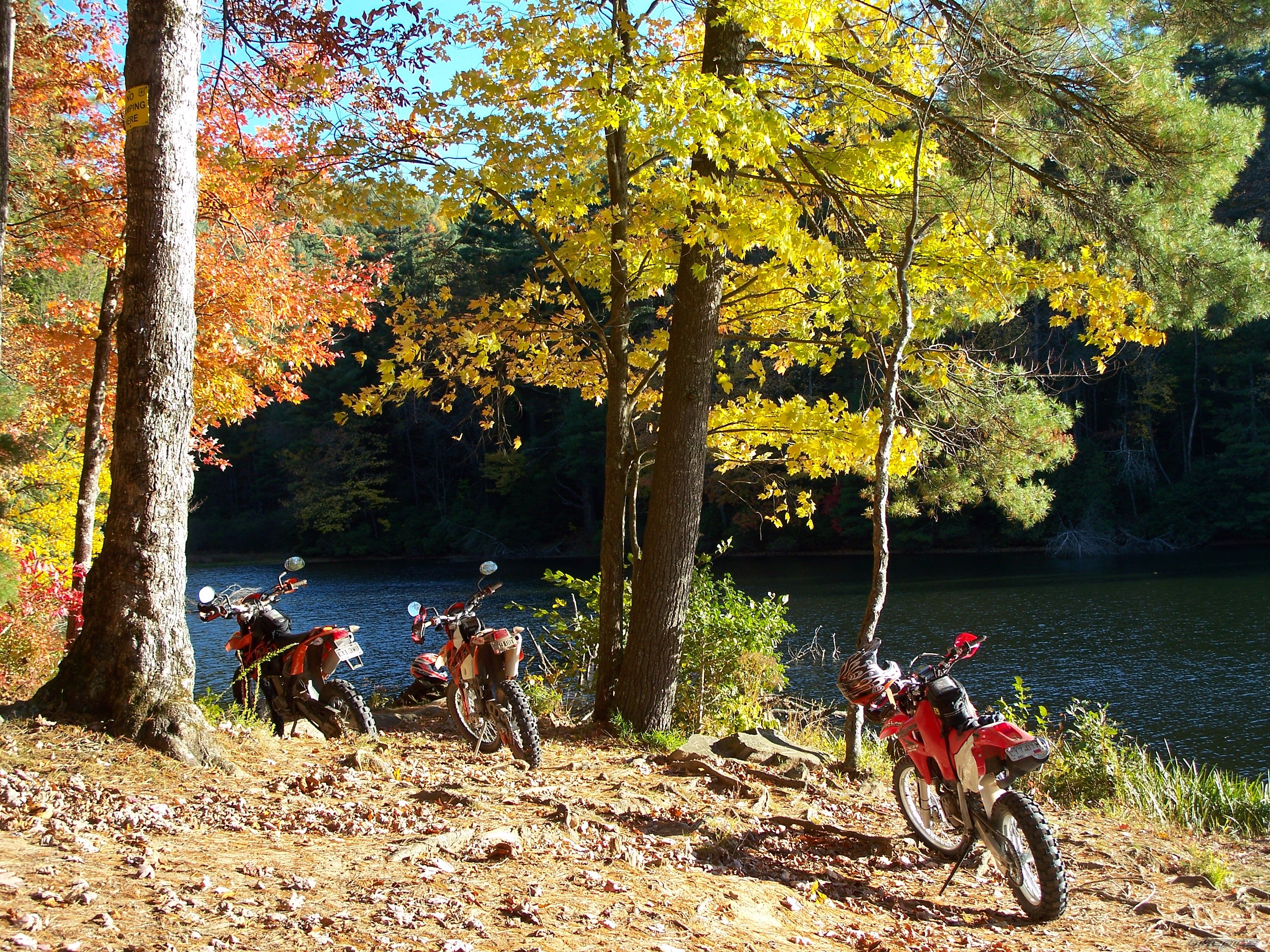 Bike Photo 1080833