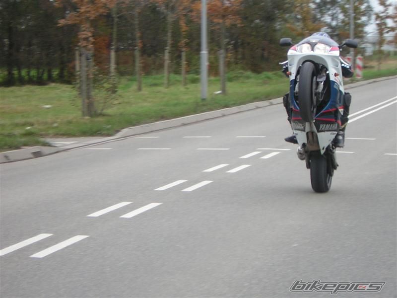 Photo 1081031