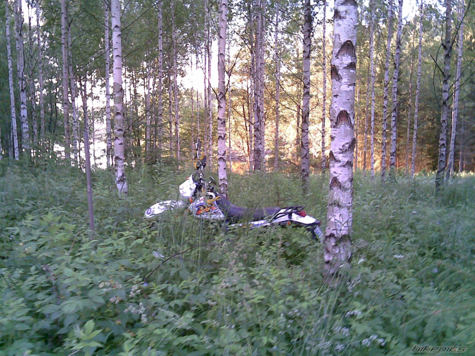 Photo 1081132