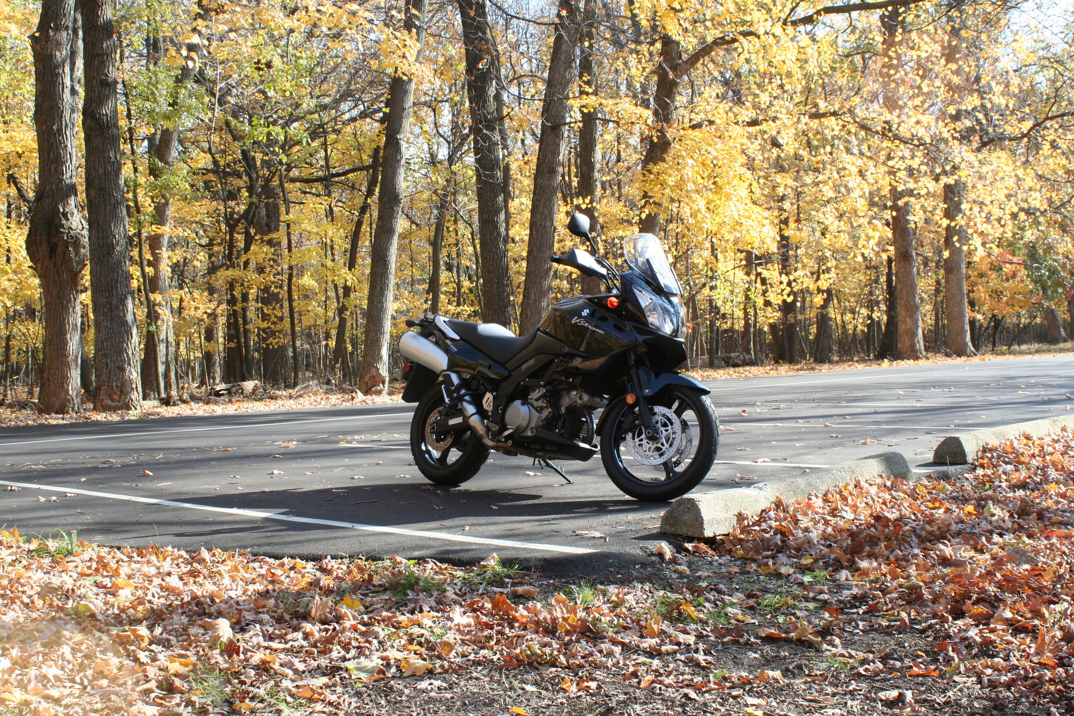 Bike Photo 1081232