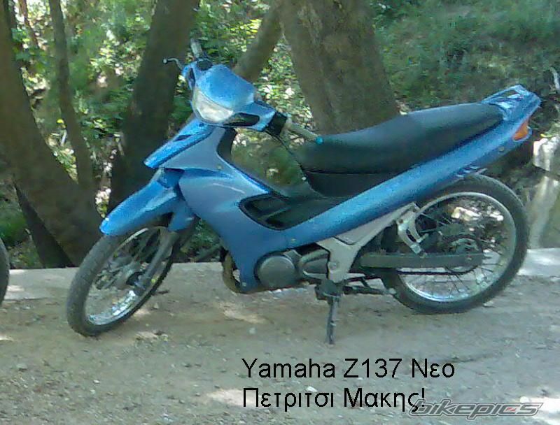 Photo 1081233