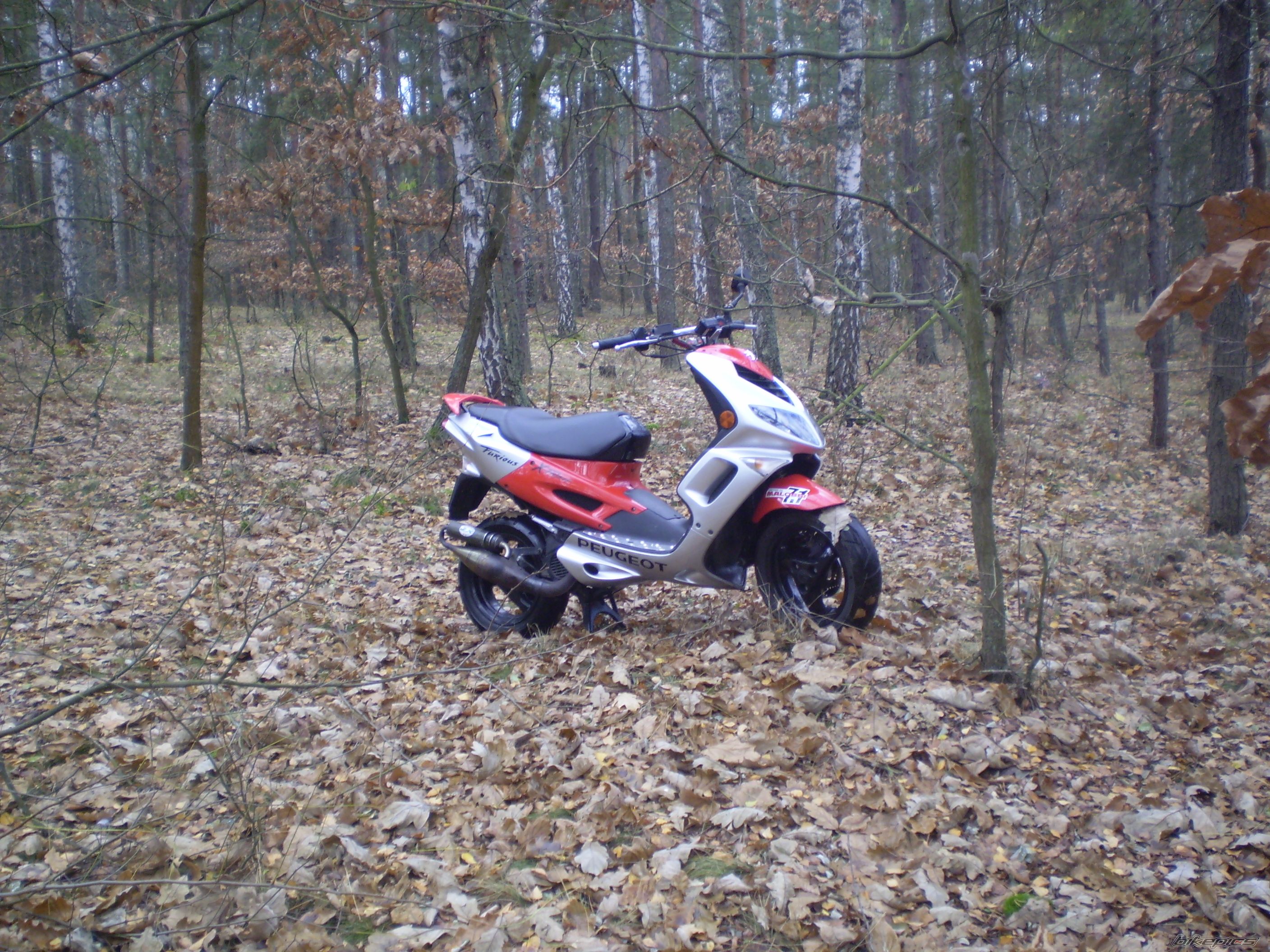 Photo 1081257